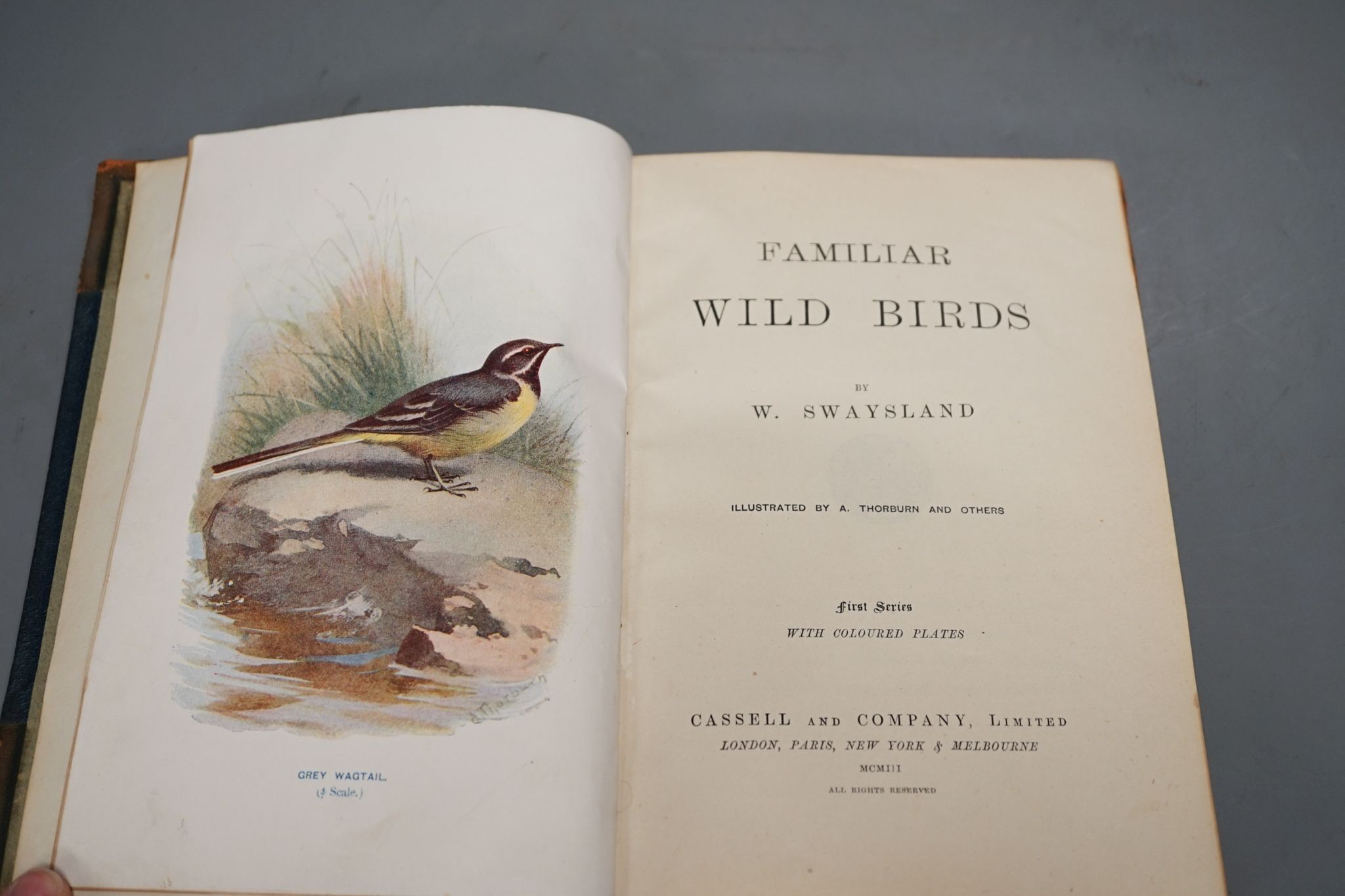 Swaysland, W. - Familiar Wild Birds, 4 vols, num. colour-printed plates (by Thorburn & Others), engraved text illus., half titles; contemp. half leather and cloth, 1903